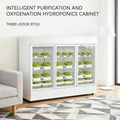 HEZHOU HZ-3 Indoor Hydroponic Multi-Layer Smart Automatic Vertical Farming Planting Cabinet PLC Control | Vegetable Growing