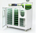 Commercial Bean Sprout Machine 40 Tray Intelligent Germination Cabinet Sprout Growing Machine for Microgreen Farm Restaurant